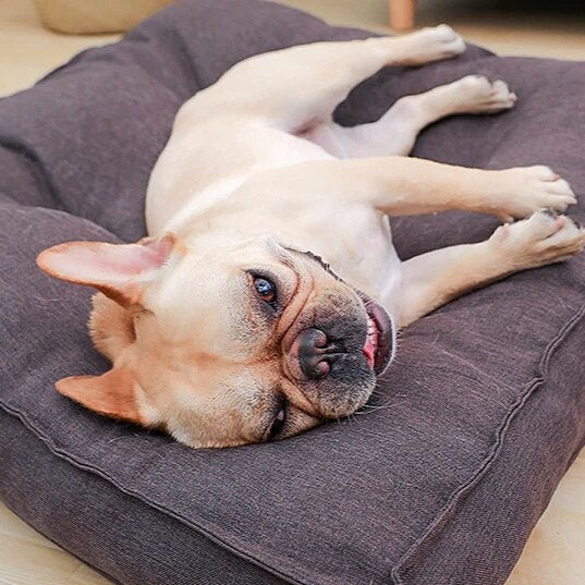 Ultra-Soft Puppy Bed – Warm